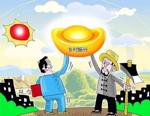 绿色金融如何支持绿色农业发展