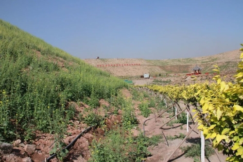 鄂托克旗绿色矿山建设：合力建出新精彩