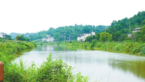 农村环境长效管护打造“一村一处景”北碚美丽乡村建设有科技含量