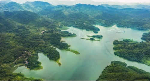 乡村振兴丨新河镇：绿色发展绘就乡村振兴生态美