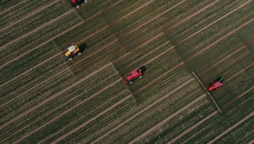 我国农业现代化的出路到底在哪？