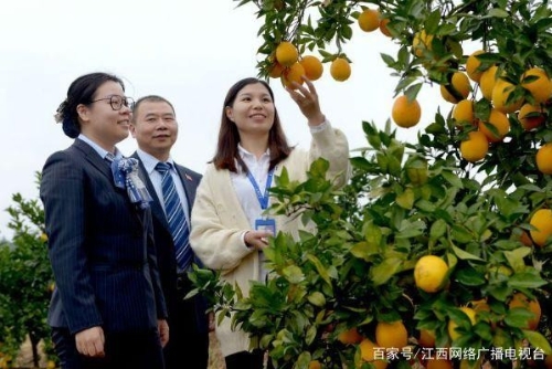 建设银行江西省分行：浇灌“金融”活水 助力乡村振兴