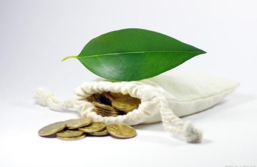 减碳，钱从哪里来？