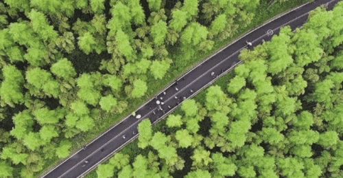 传承弘扬优良传统加强生态环境保护利用 以项目建设为支撑加快林区绿色转型发展