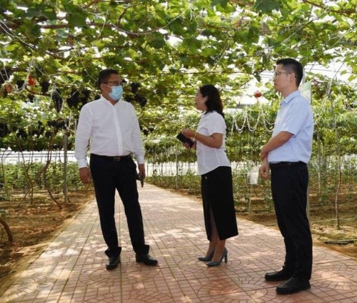 金融活水赋能特色产业发展 齐鲁兴业助力服务乡村振兴