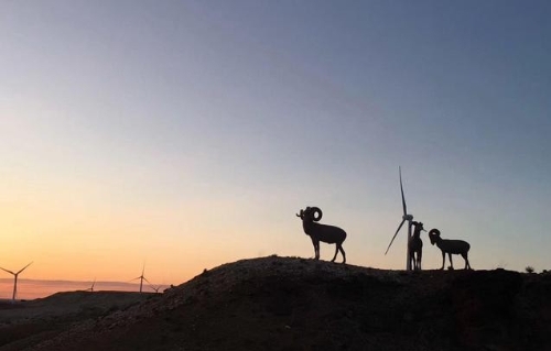 变“碳”为宝大有可为