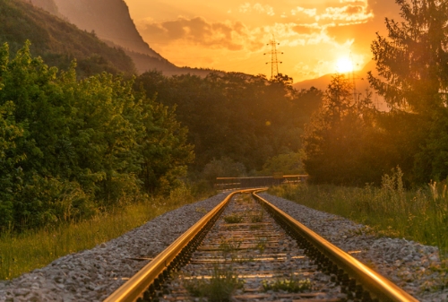 聚焦“节能降碳，绿色发展” 2021年全国节能宣传周“云”上启动