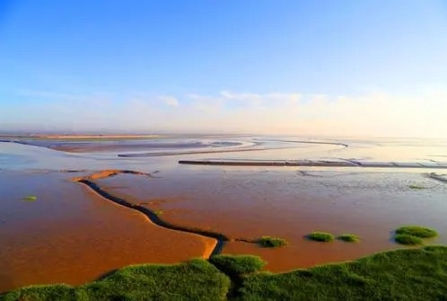 东台：打造“绿色智造地 生态康养城” 以更高标杆推进高质量发展