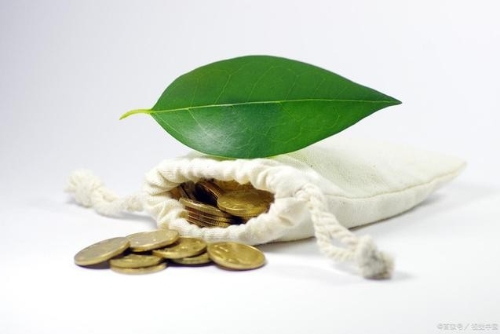 农业银行副行长林立：将着力提升绿色产业投资规模