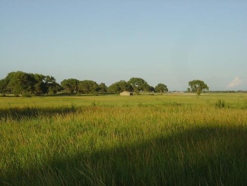 蒋高明：高效生态农业是实现共同富裕的重要产业