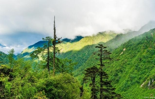 厚植生态底色，打造绿色发展引擎