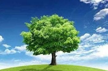 碳中和背景下的 产业转型升级路在何方