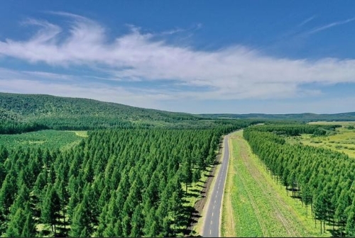 碳期货市场建设加快绿色金融迎发展良机