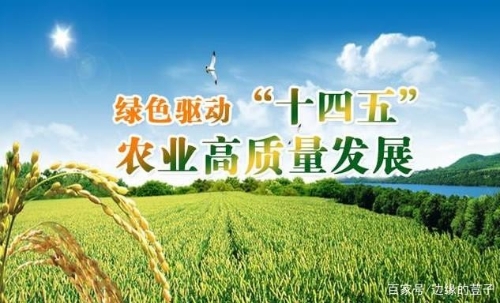 ttc168 “十四五”规划，助推农业绿色发展，稳粮价，促增收将成主旋律