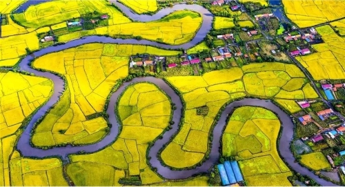 首部农业绿色发展专项规划出台 到2025年将建成10.75亿亩集中连片高标准农田