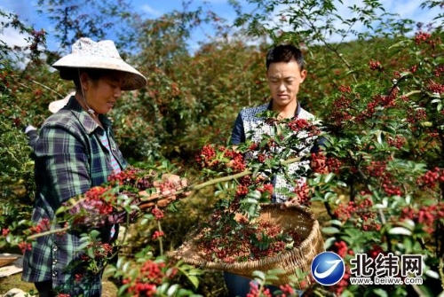 “引金融活水助乡村振兴”系列报道之“农村绿色金融篇”——绿色金融解难题乡村振兴……