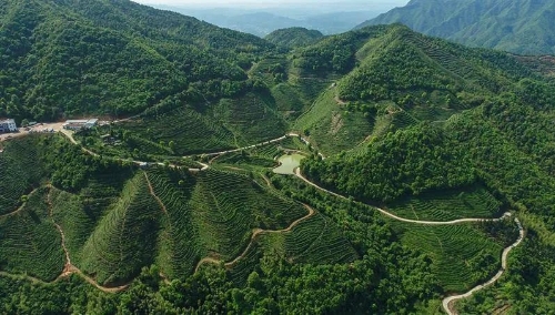 全省首批！寻乌、上犹获批开展“江西绿色生态”品牌建设试点