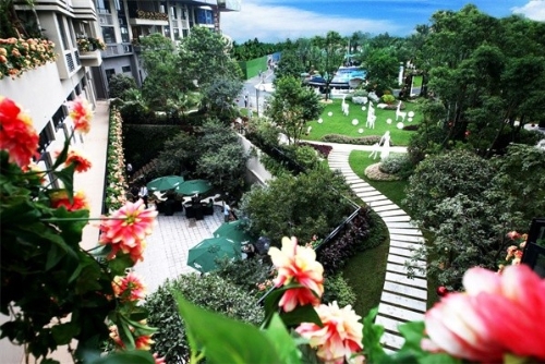 碧桂园：践行绿色发展理念 打造绿色建筑