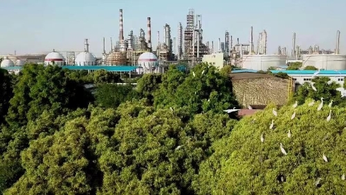 赵东：中国石化聚焦“双碳”目标打造绿色能源企业