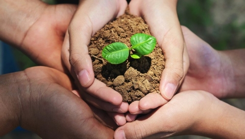 江苏吴江再获一张国字号绿色名片