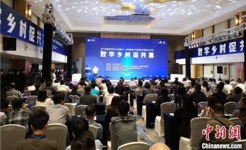 乡村振兴“换道超车”新路径：以数字乡村促共同富裕