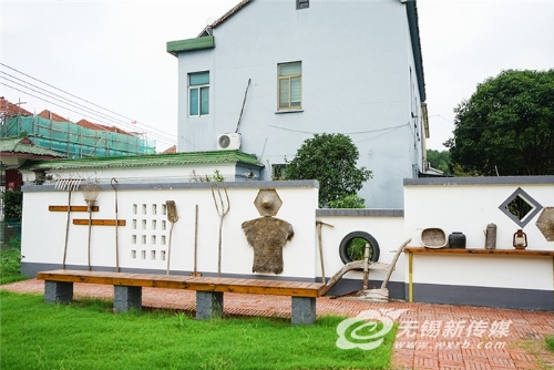 【乡村振兴】无花果结出“致富果”，绿色产业助力乡村振兴