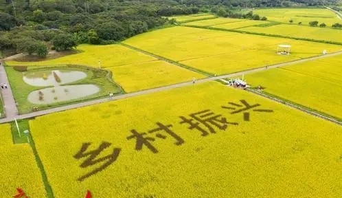 推进农业绿色发展 义乌共建乡村振兴院士科创中心 国际院士联合体执委会主席、世界生产率科学院院士孙成出席会议