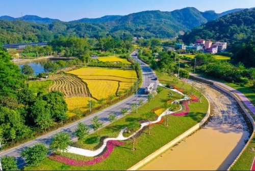 协同推进“双碳”目标和乡村振兴的战略思考