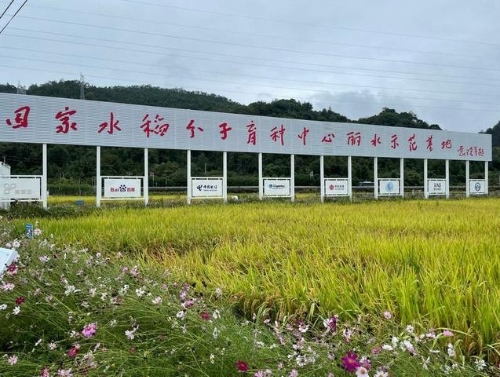 绿色金融浙江样本：融合普惠、创新工具，“贷”出绿水青山