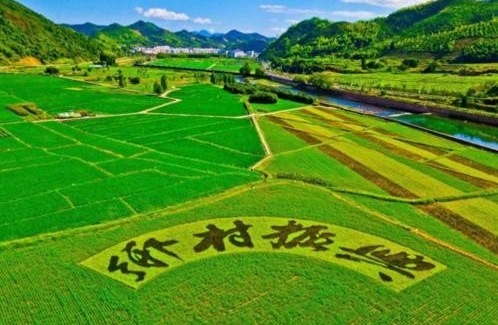 陕西省进一步加大乡村振兴重点帮扶县支持力度