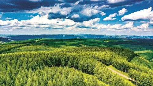 牢记使命 绿色发展——塞罕坝精神述评