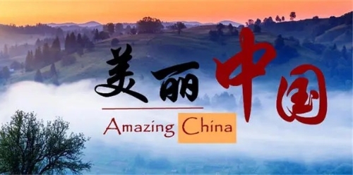 年终盘点：2021年，我们以绿色为底绘就美丽中国