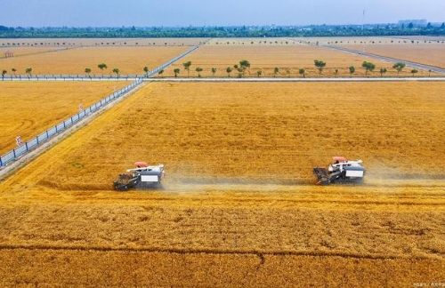 探索产业融合发展的农业现代化道路
