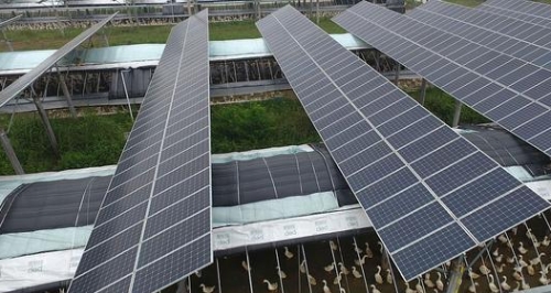 向世界展示绿色发展形象