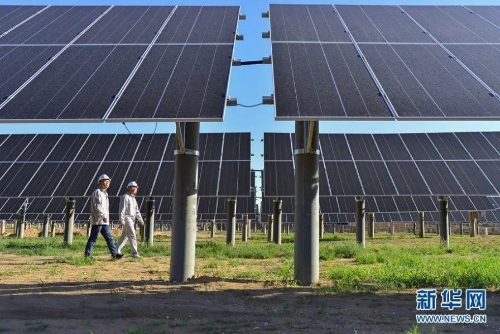 【生态优先 绿色发展】为了这片绿，他们拼了！