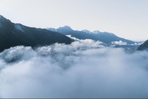 绿色经典读书会聚焦气候变化最新科学进展