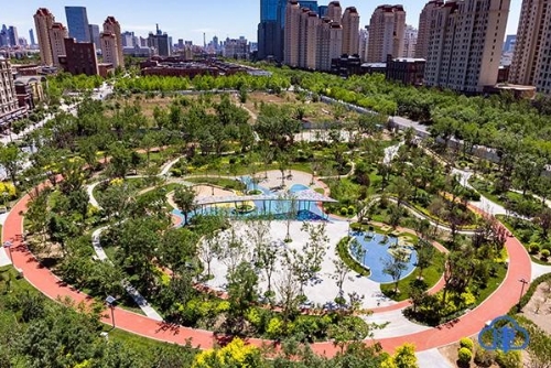 高质量提升绿化品质 让绿色南开底色更美 质量更高