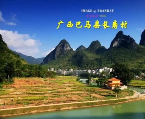 广西巴马县： 为乡村振兴注入“绿色动能”（走特色发展之路）