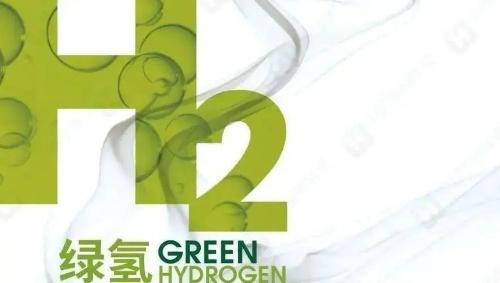 与会嘉宾就“建立绿色氢能的供需关系”话题展开讨论