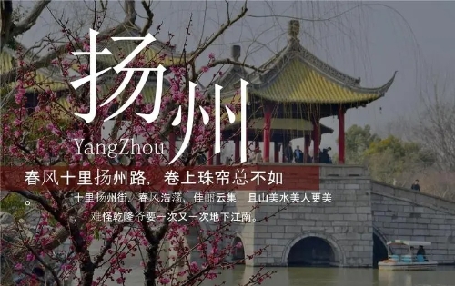 扬州：启动“绿色引擎” 建设“绿美乡村”