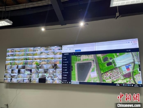 数都上海：如何以绿色发展使数字与经济“相得益彰”？