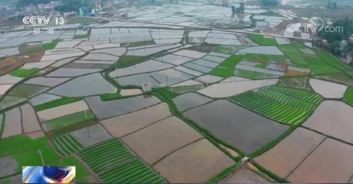 推进农业绿色低碳发展促进我国乡村全面振兴