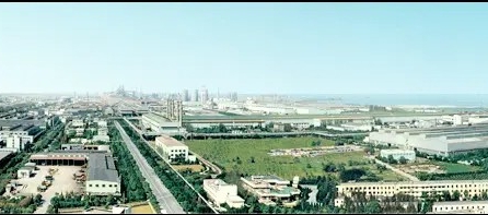 固废堆场变身绿色氧吧