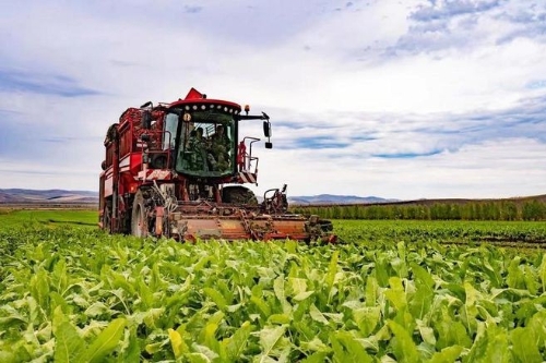 内蒙古呼伦贝尔市额尔古纳市：用生态“底色”描绘发展“绿色”