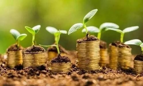 中油资本：加大绿色金融创新力度 持续推动产业转型升级