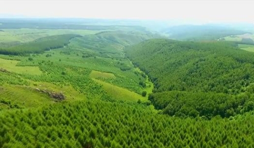 为绿色发展提供强劲动力（现场评论·抢抓机遇再奋进①）