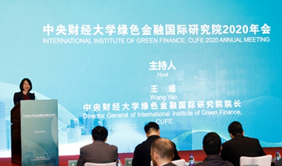 绿金院院长王遥主持本次年会