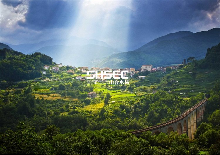 现代农业产业园 三产融合现代农业园