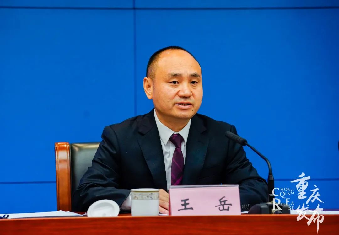 王岳介绍相关情况 吴汪洋 摄