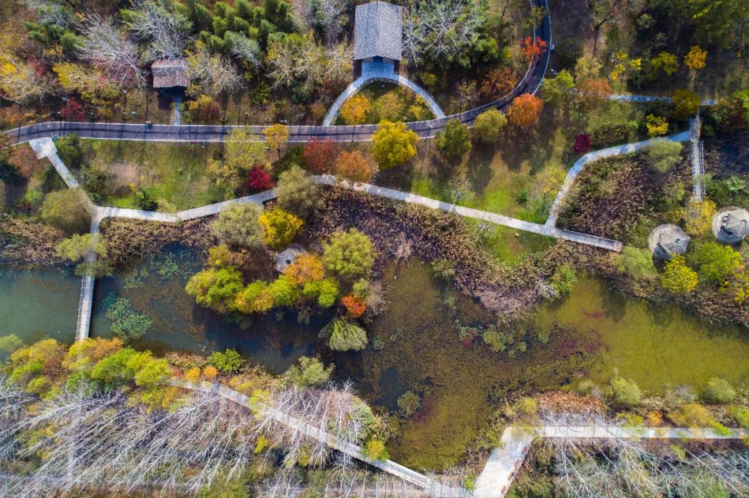 图片来源：新华社